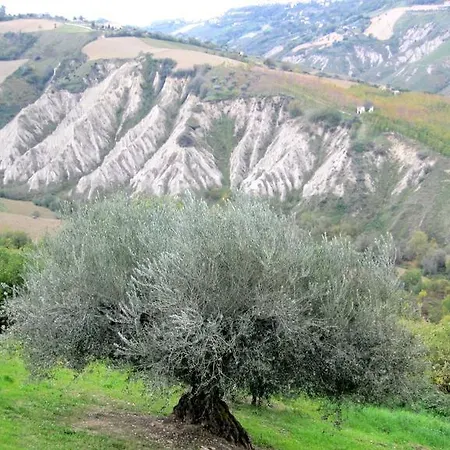 Casa Del Gallo Apartment Atri